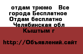 отдам трюмо - Все города Бесплатное » Отдам бесплатно   . Челябинская обл.,Кыштым г.